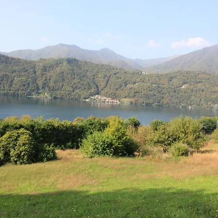 Orta