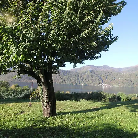 Orta * Pettenasco